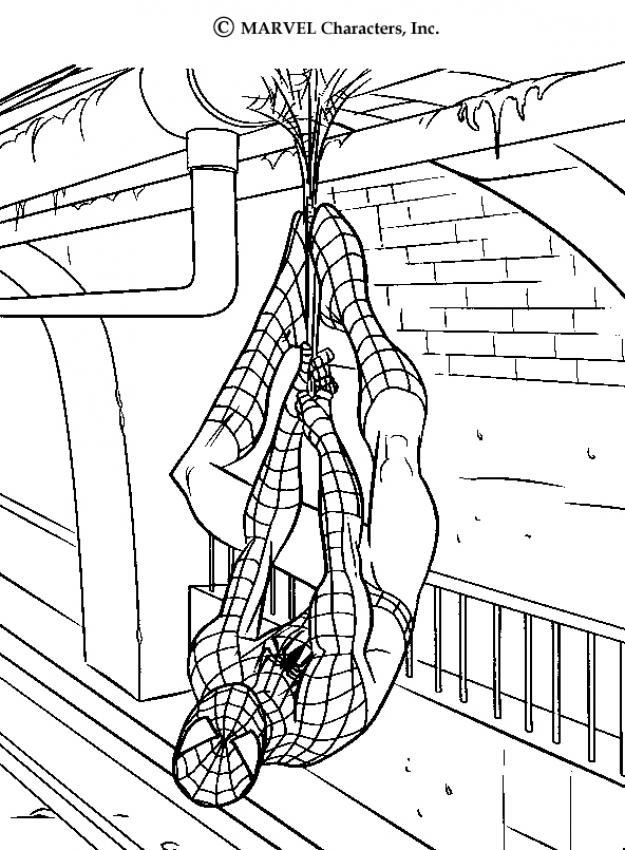 spiderman-n-30
