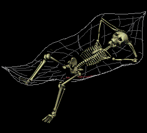 arana-esqueleto