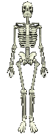 hallow-esqueleto
