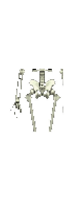 Calaveras y esqueletos - Dibujar Dibujos - Dibujos para DESCARGAR - GIFS ANIMADOS - Halloween - dibujos y gifs animados