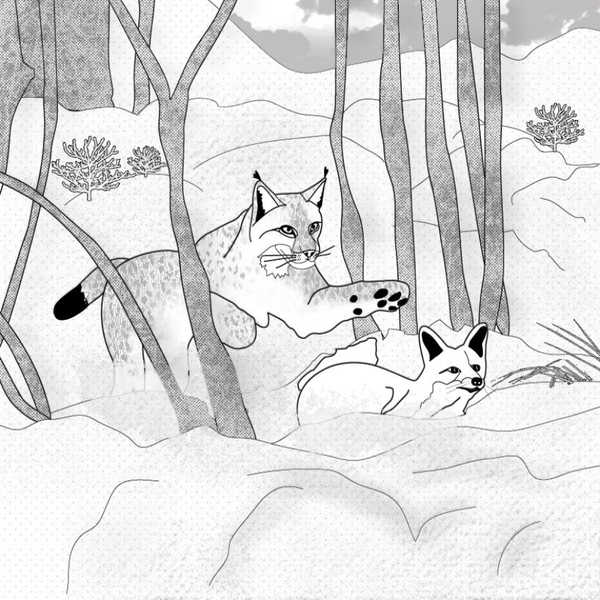 Coloriage du Renard dans la neige - Coloriage - Coloriages et images du Renard et l'Enfant