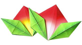 Origami flor de loto