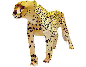 guepardo