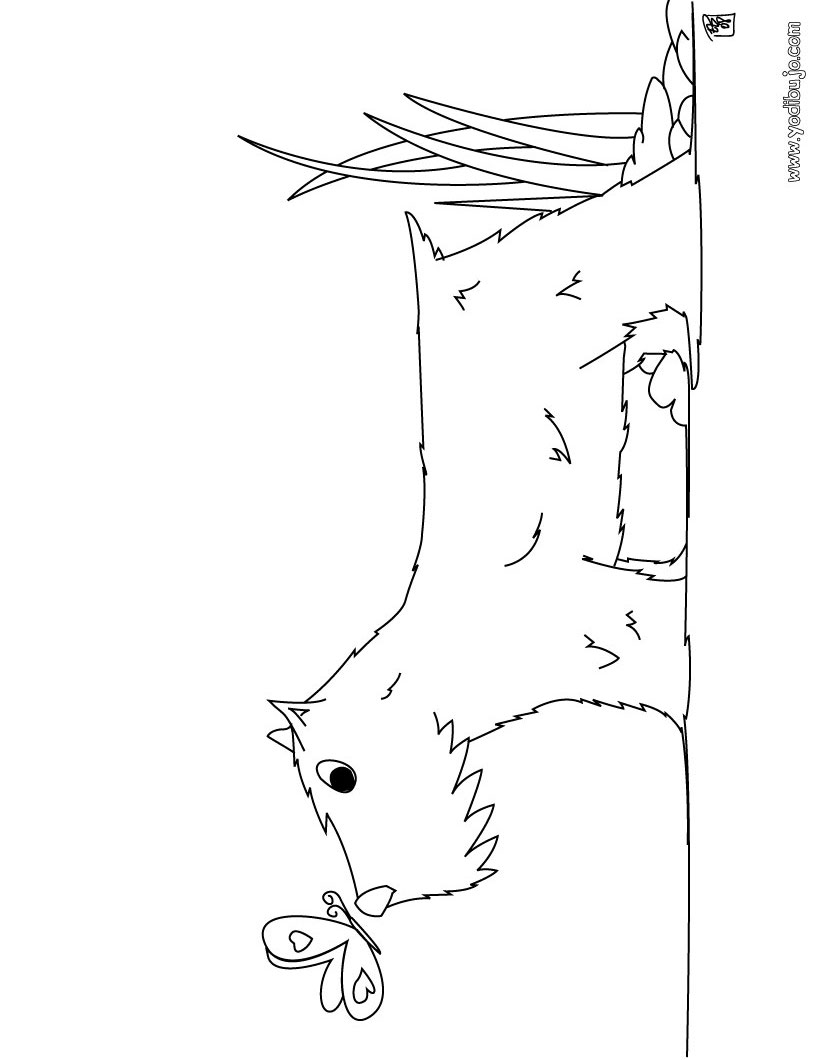 perro1-ES