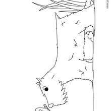 Dibujo de un perro Cocker - Colorear - Dibujos para colorear ANIMALES - Dibujos MASCOTAS para colorear - Dibujos PERROS para colorear - Dibujo para colorear PERRO COCKER