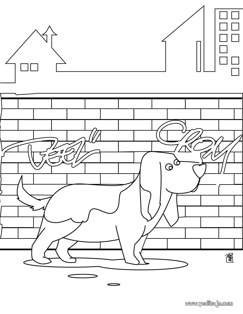 perro5-ES