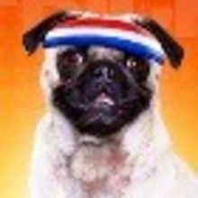 Fondos e &iacute;conos: Hotel para Perros - FONDOS GRATIS - Dibujos