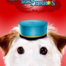 Marcadores de p�ginas: Hotel para Perros