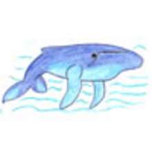 Dibujar dibujos ANIMALES - Aprender cómo dibujar paso a paso - Dibujar Dibujos