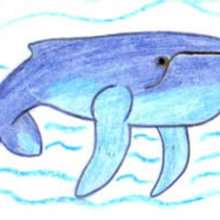 Dibuja una ballena - Dibujar Dibujos - Aprender cómo dibujar paso a paso - Dibujar dibujos ANIMALES - Dibujar los animales del mar