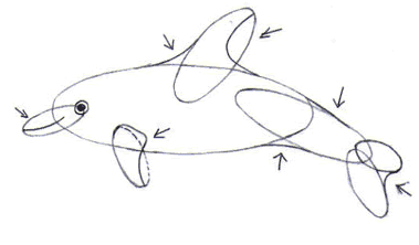 Dibuja un delfín - Dibujar Dibujos - Aprender cómo dibujar paso a paso - Dibujar dibujos ANIMALES - Dibujar los animales del mar