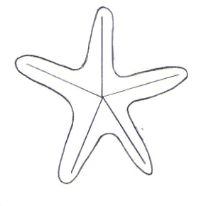 Dibuja una estrella de mar - Dibujar Dibujos - Aprender cómo dibujar paso a paso - Dibujar dibujos ANIMALES - Dibujar los animales del mar