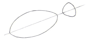 Dibuja un pez payaso - Dibujar Dibujos - Aprender cómo dibujar paso a paso - Dibujar dibujos ANIMALES - Dibujar los animales del mar