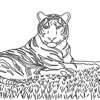 Dibujos ANIMALES SALVAJES para pintar - Dibujos para colorear ANIMALES - Colorear