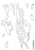 Dibujo de los estudios de Universal (Hollywood) - Colorear - HISTORIA Y GEOGRAF�A: dibujos para colorear - Estados Unidos