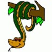 Colorear dibujos SERPIENTE - Dibujos para colorear ANIMALES - Colorear