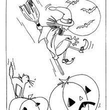 Dibujo de gato negro con bruja para imprimir y colorear - Dibujos para Colorear y Pintar - Dibujos para colorear FIESTAS - Dibujos para colorear HALLOWEEN - Dibujo para colorear GATO NEGRO halloween