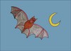 Dibujar Halloween - un murci�lago - Dibujos - DIBUJAR - Dibujar para las fiestas - Dibujar personajes de Halloween