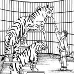 tigres-circo-colorear