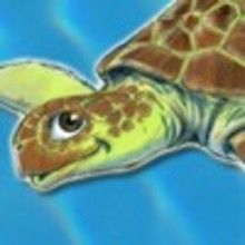 Colorear dibujos TORTUGA - Dibujos para colorear ANIMALES - Colorear