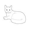 Dibujos para colorear GATO AZUL