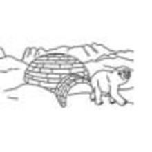 Dibujos ANIMALES DE LA BANQUISA para colorear - Dibujos para colorear ANIMALES - Colorear