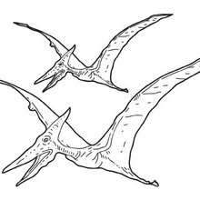 Dibujo pterosaurio