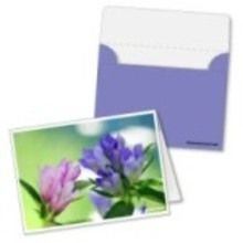 Tarjetas Dia de la Madre FACILES