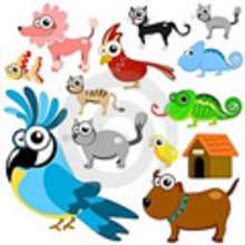 Imagenes ANIMALES - Imagenes para niños - Dibujar Dibujos