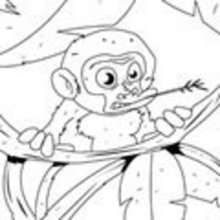 También en Dibujos ANIMALES DE LA JUNGLA para colorear