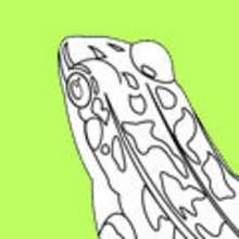 También en Colorear dibujos RANA