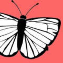 También en Dibujos INSECTOS para colorear