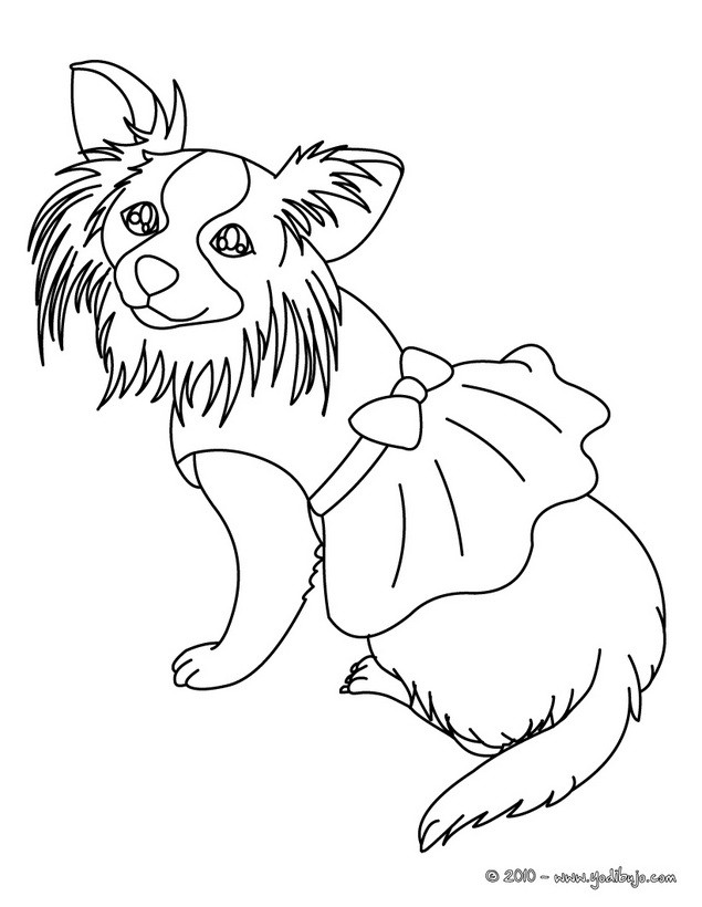 Dibujos Perros Para Colorear 40 Dibujos De Animales Para Colorear