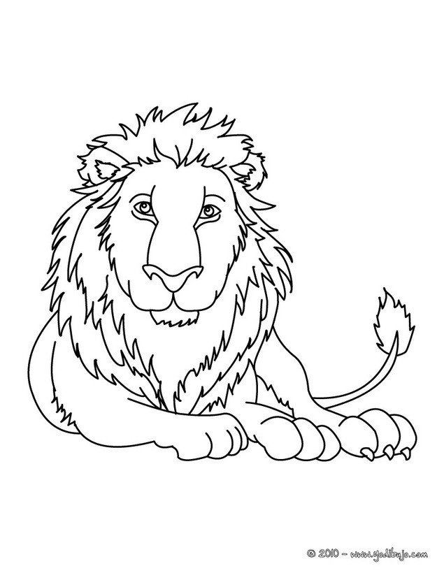 Dibujo para colorear : León. Puedes imprimirlo, colorearlo en línea. Dibujo para colorear : León. Puedes imprimirlo, colorearlo en línea.