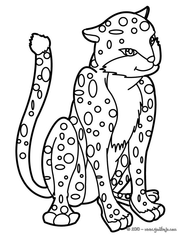 Dibujos para colorear pantera - es.hellokids.com