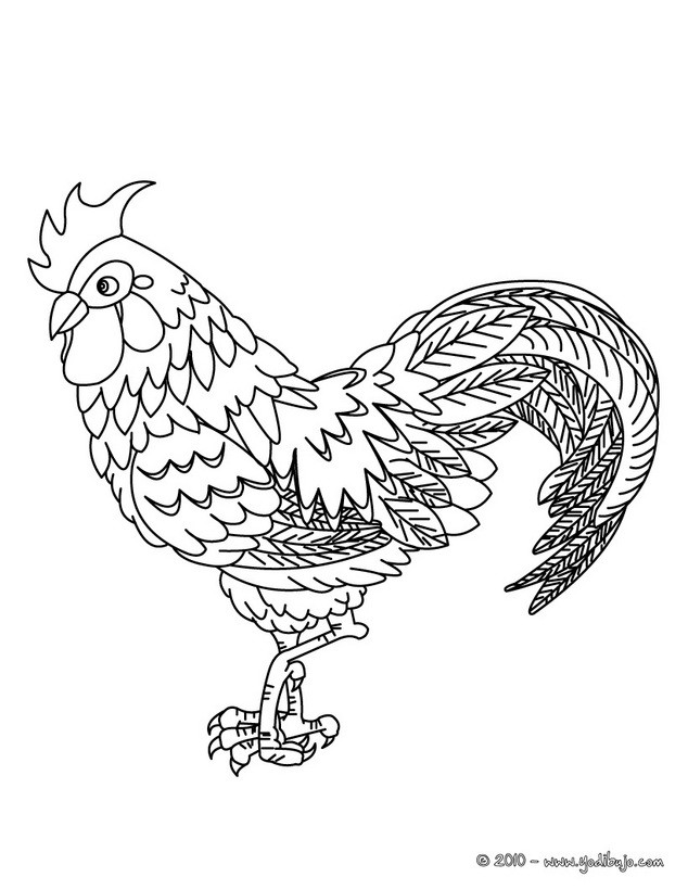 Dibujos para colorear gallo claret 