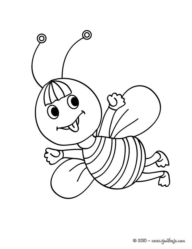 Dibujos Insectos Para Colorear 25 Dibujos De Animales Para