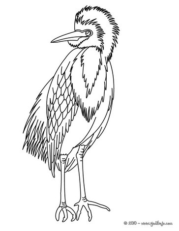 Dibujos De Aves Y Pajaros 68 Dibujos De Animales Para Colorear Y