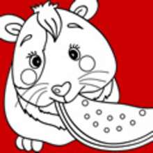 Dibujos MASCOTAS para colorear - Dibujos para colorear ANIMALES - Dibujos para Colorear y Pintar