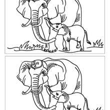 ELEFANTE CON SU CRIA busca las 12 diferencias - Juegos divertidos - Juegos de DIFERENCIAS para niños - Juegos de buscar diferencias ANIMALES
