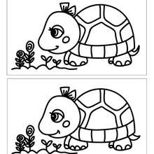 TORTUGA busca las 5 diferencias - Juegos divertidos - Juegos de DIFERENCIAS para niños - Juegos de buscar diferencias ANIMALES
