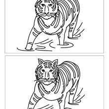 TIGRE busca las 12 diferencias - Juegos divertidos - Juegos de DIFERENCIAS para niños - Juegos de buscar diferencias ANIMALES