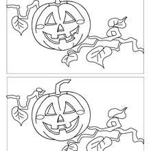 CALABAZA busca las 5 diferencias