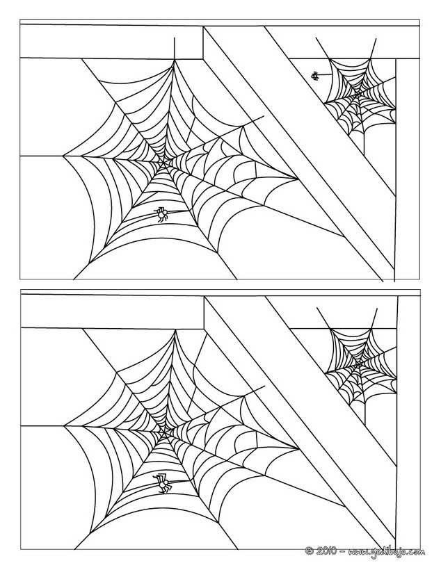 ARAÑA busca las 5 diferencias