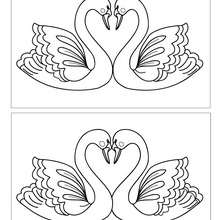CISNES CORAZON busca las 12 diferencias