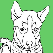 Dibujos para colorear ANIMALES - Dibujos para Colorear y Pintar