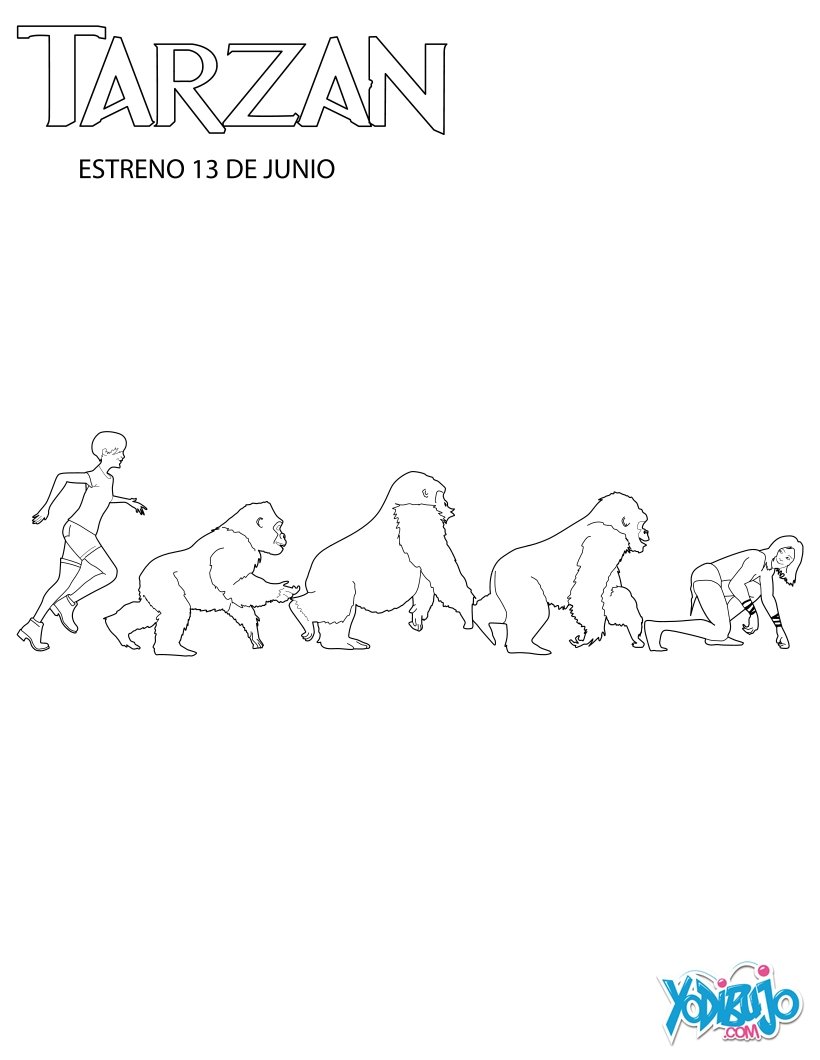 familia de gorilas