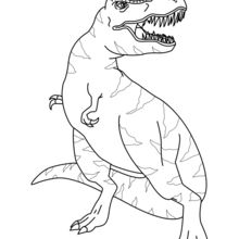 Dibujo para colorear : Tiranosaurio