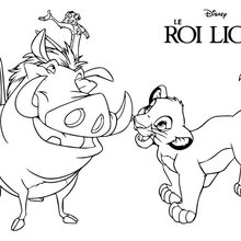 Dibujos Para Colorear Rey Leon 14 Paginas Disney Para Imprimir