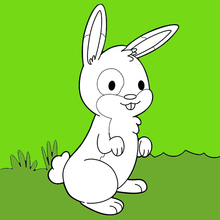 Dibujos Para Colorear Conejo En El Jardin Es Hellokids Com